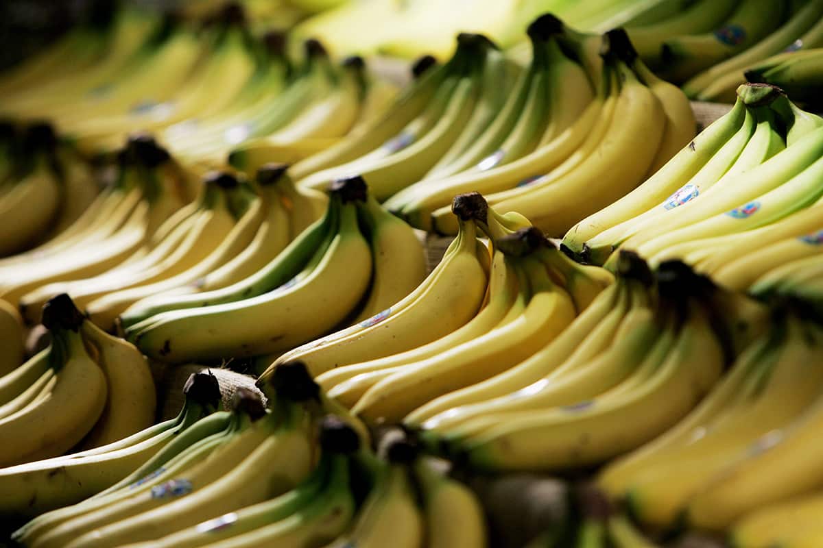 Bananas in shop