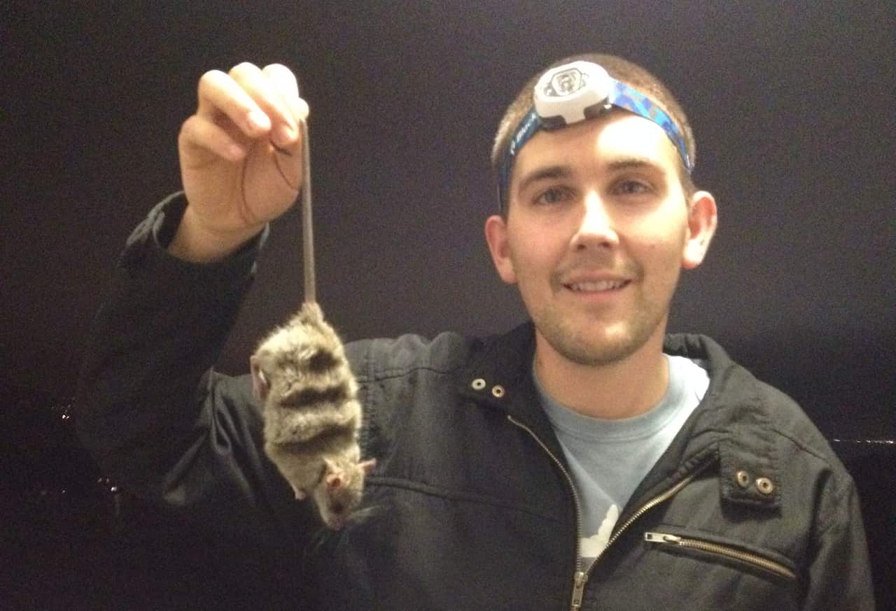 Rat2-140422-sp.jpg