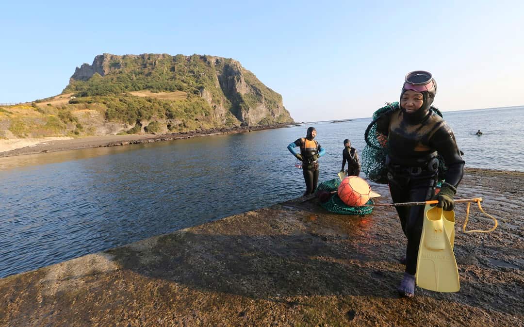 South Korean abalone divers.