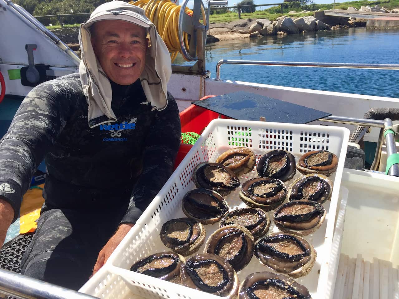Abalone