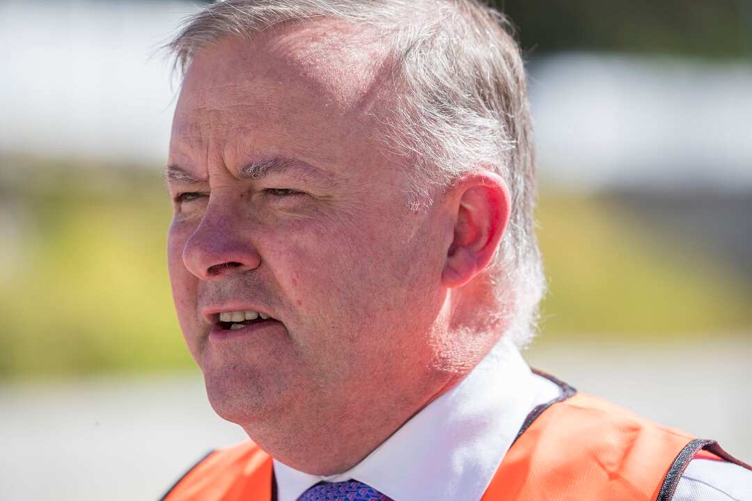Anthony Albanese has also slammed energy retailers.