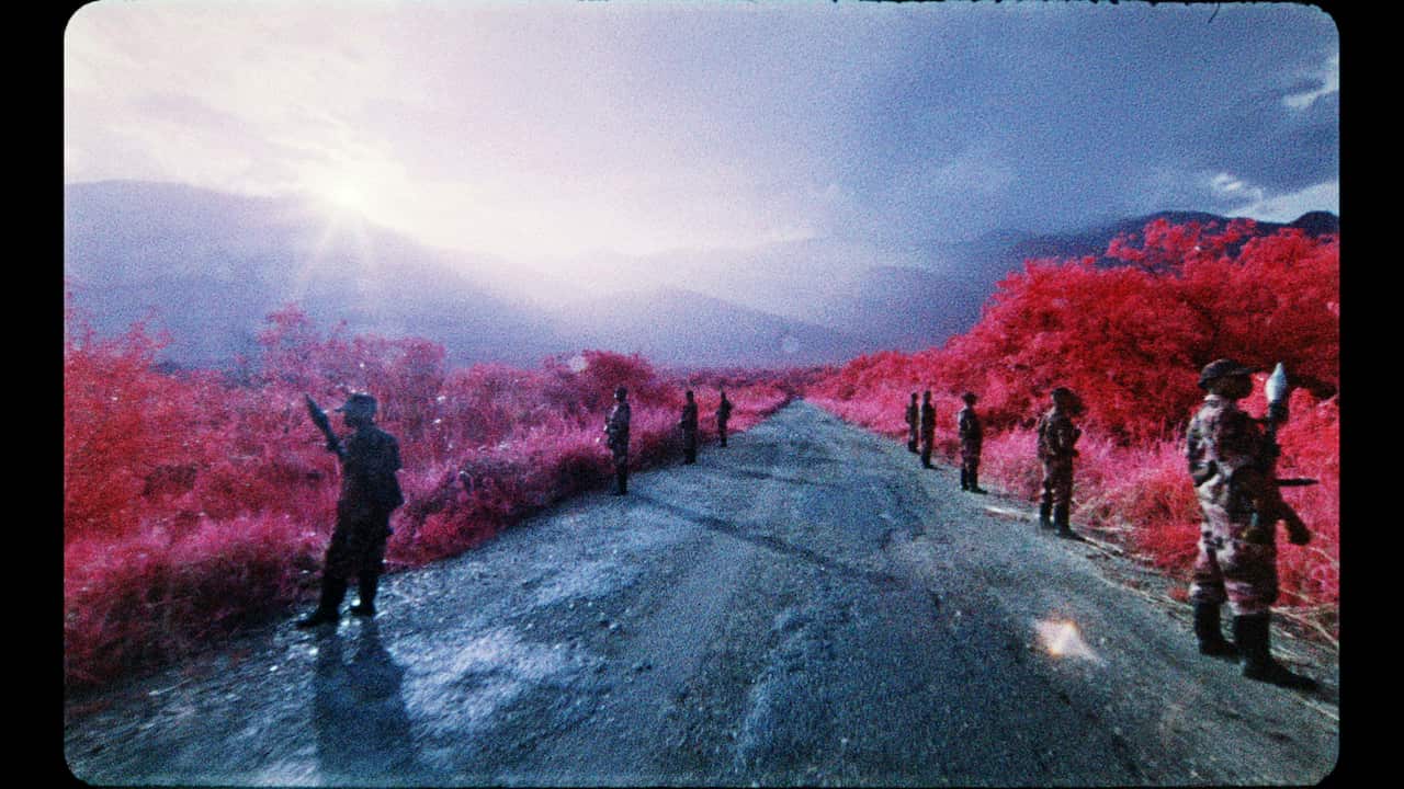 A still from Richard Mosse's video installation 'The Enclave'.