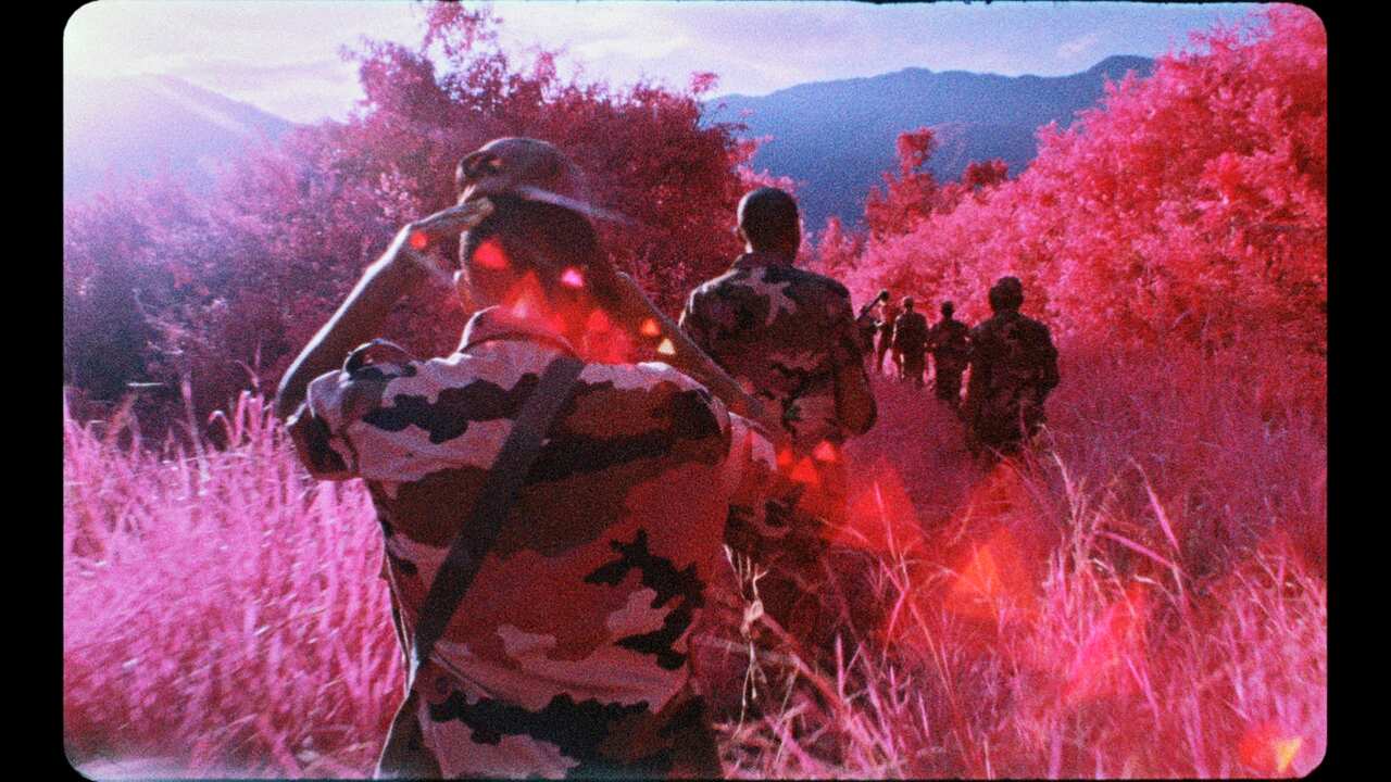 A still from Richard Mosse's video installation 'The Enclave'.