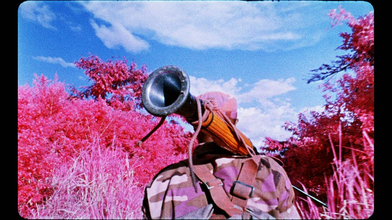 A still from Richard Mosse's video installation 'The Enclave'.