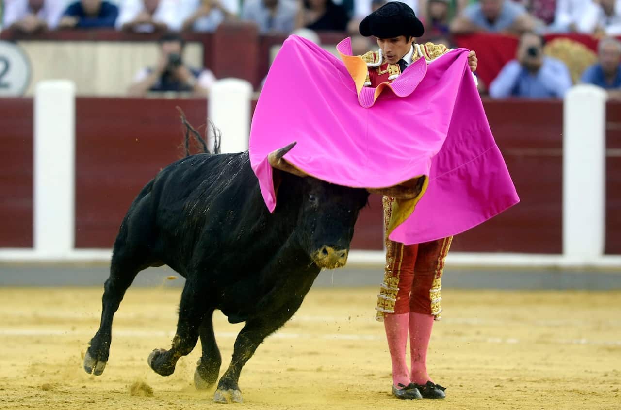 French bullfighter Sebastian Castella (AAP)