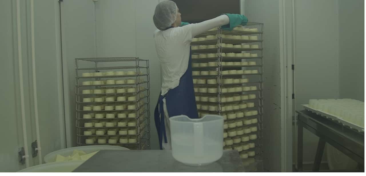 Victoria McCurg is an accidental cheese maker.