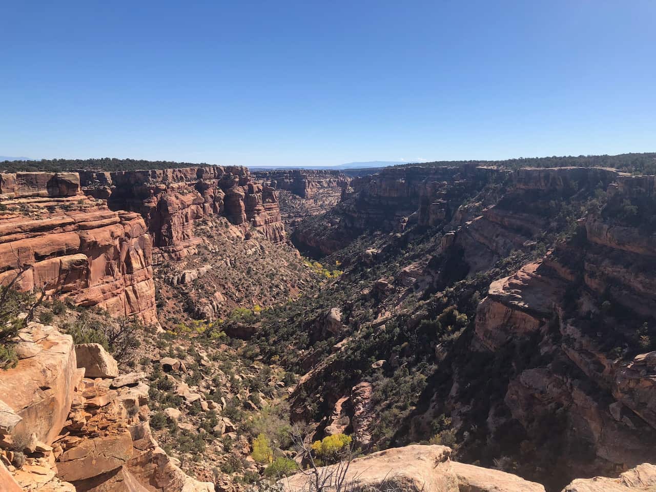Bears Ears