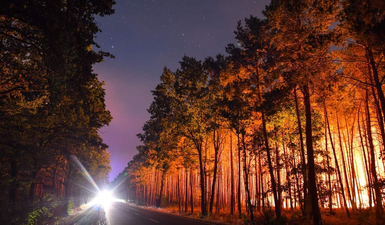 Fire brigades try to extinguish a burning forest on August 24, 2018 in Klausdorf, northeastern Germany,