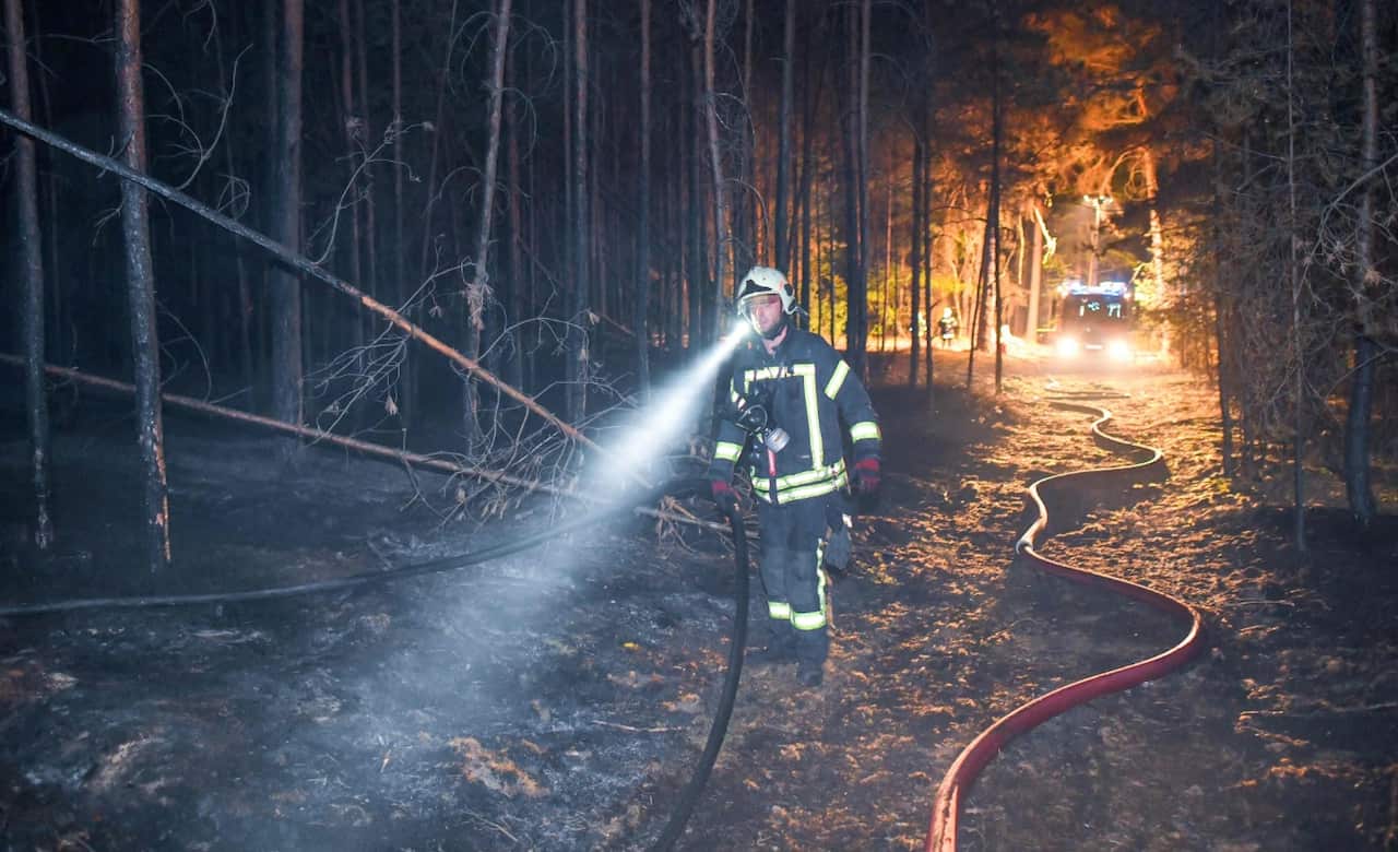 A fireman walks through a burned forest on August 24, 2018 in Klausdorf, northeastern Germany