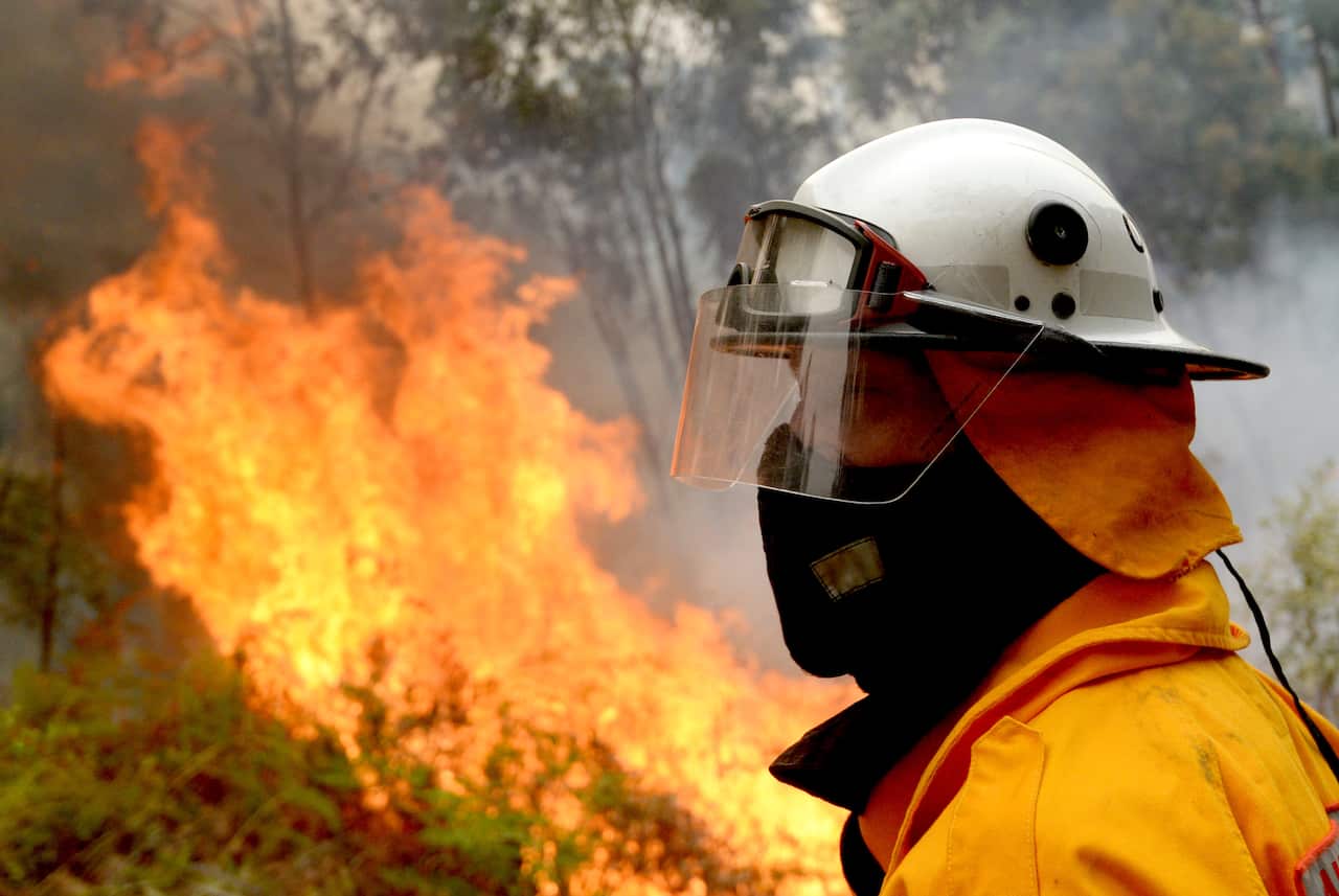 Firefighters carry out a hazard reduction burn along Putty Rd in Colo Heights near Sydney.