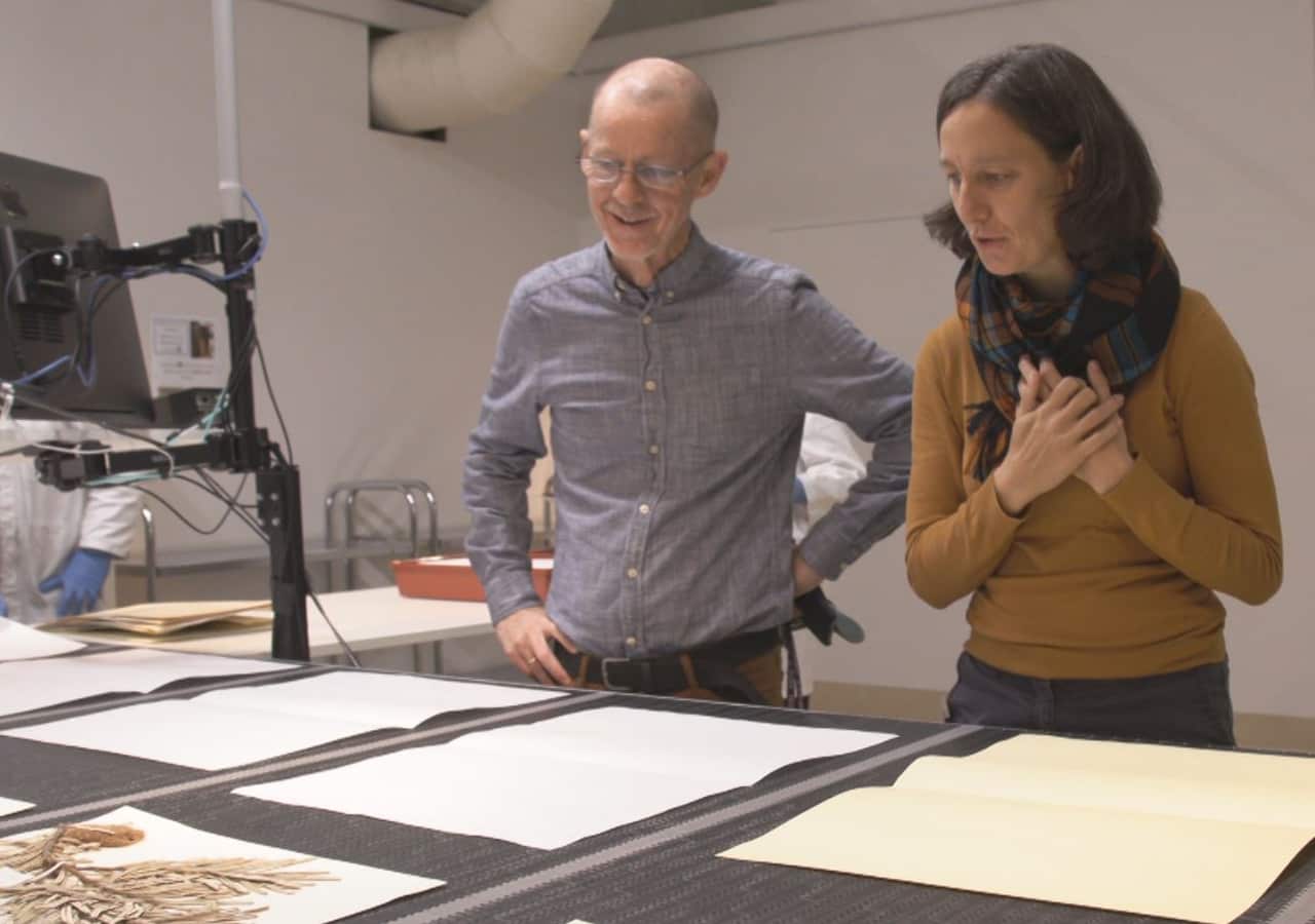 Dr Brett Summerell and Dr Rachael Gallagher watch plants being digitised, at the National Herbarium of NSW.