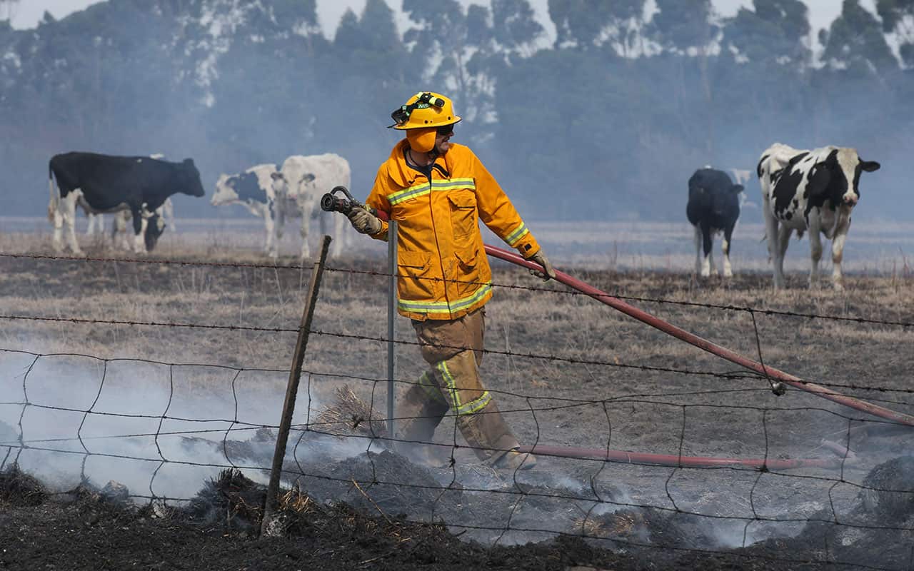 Fire fighters put out hot spots near Cobden as bushfires burn in Western Victoria, Sunday, March 18, 2018. 
