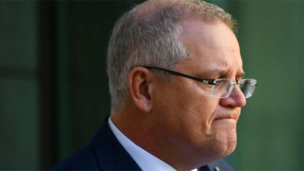 Scott Morrison 