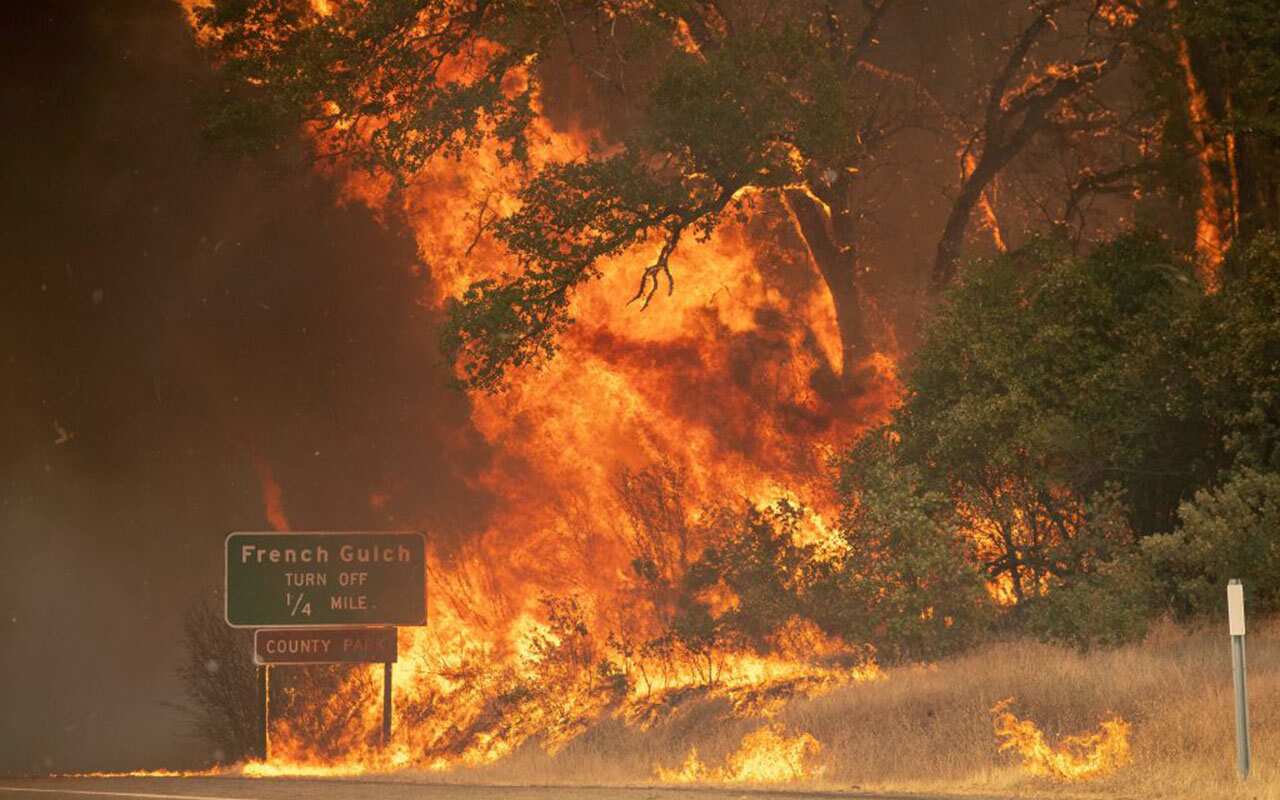 Trees burst into flame during the Carr fire near Whiskeytown, California on July 27, 2018.
