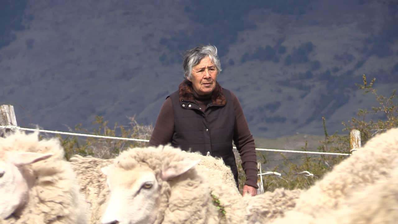 Patagonian sheep farmer Carmen Santana-Flores.