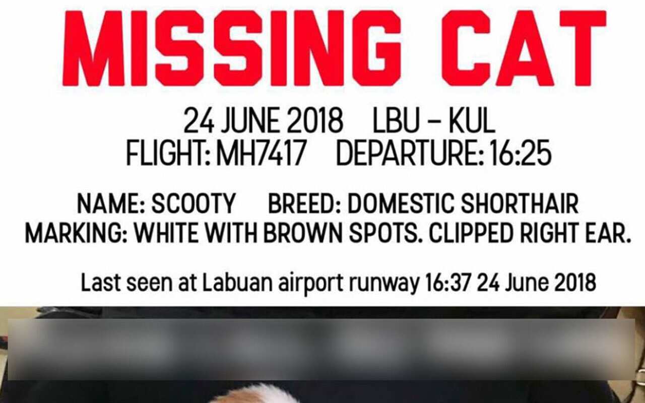 Kiran Kumar Nesarajah said in a Facebook post that crew at an airport in Labuan had let the pet escape on the runway.