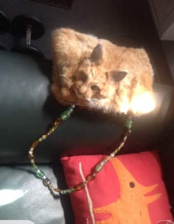 The item being promoted on the auction site (Trademe.co.nz)