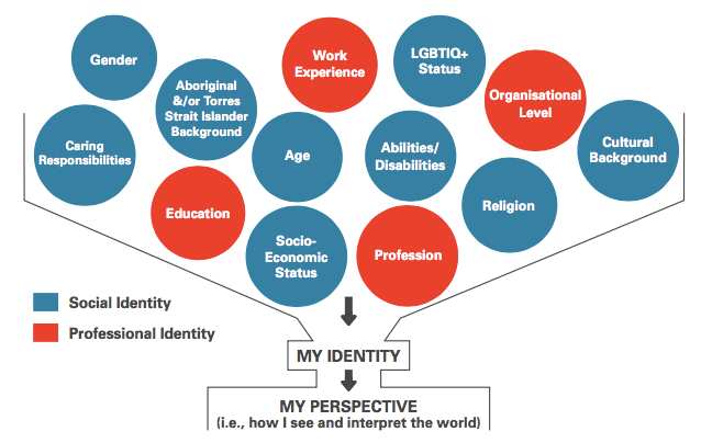 Diversity Council of Australia report