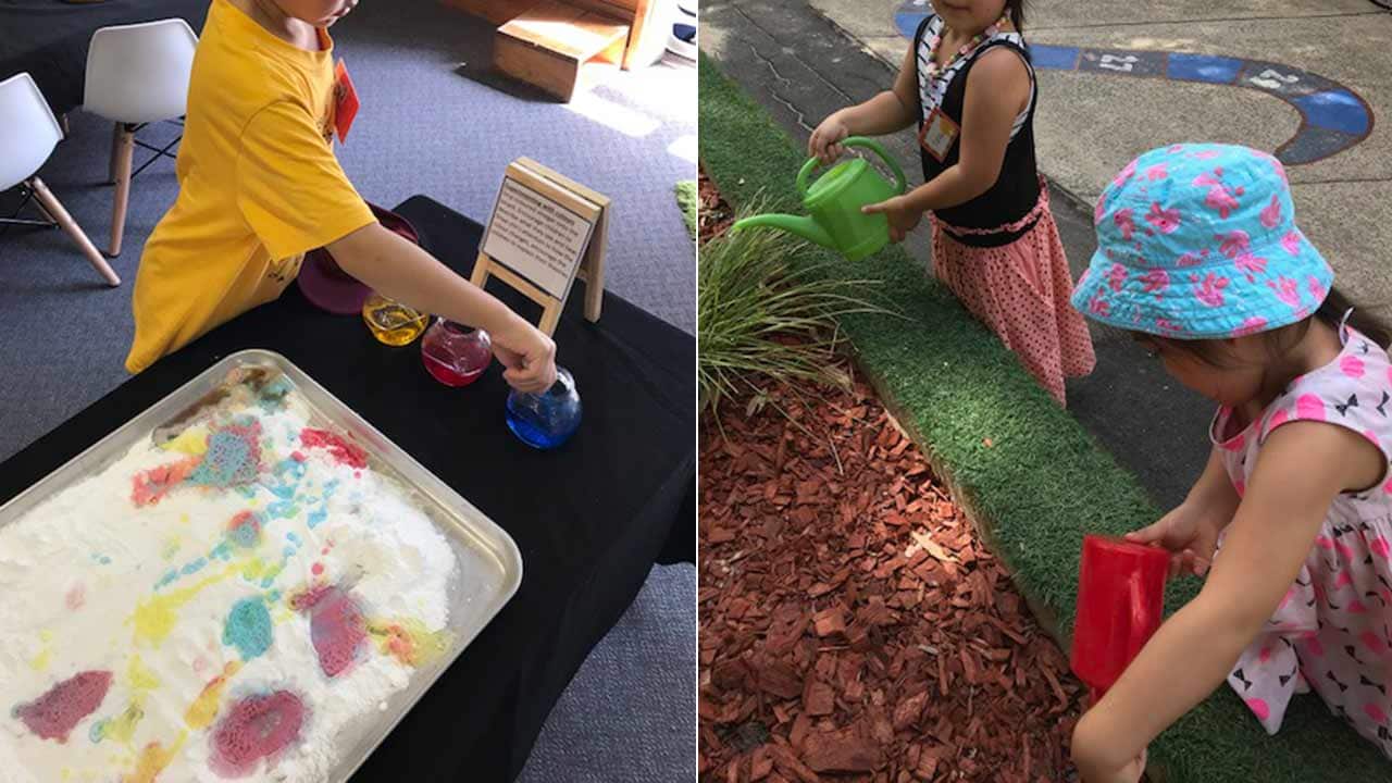 Lansvale Public School Preschool is located in one of the most ethnically diverse areas in Australia.