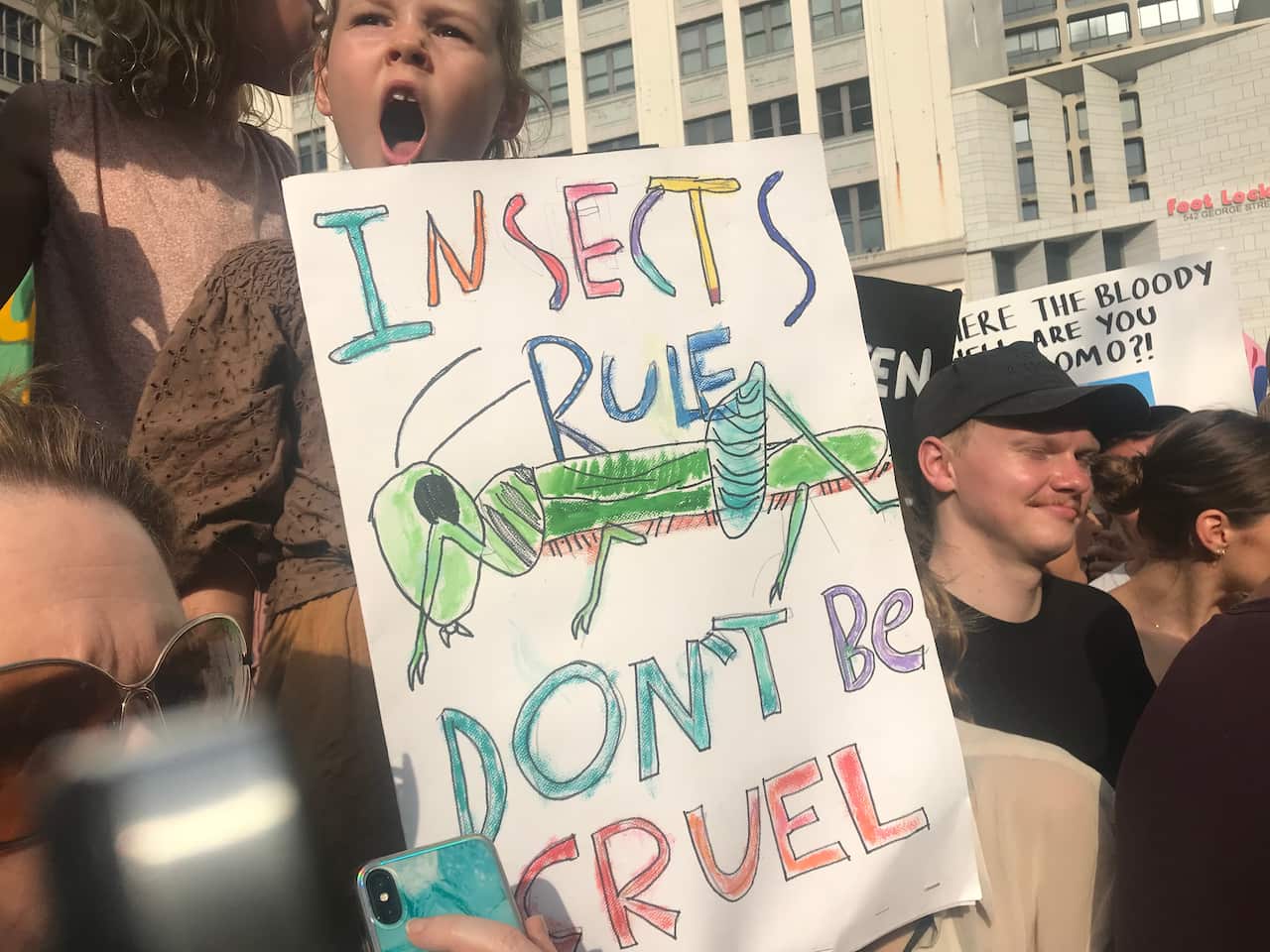 Sydney protester rally outside Sydney Town Hall.