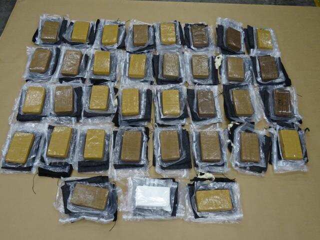 Police found 35 one-kilogram bricks inside the horse's head.