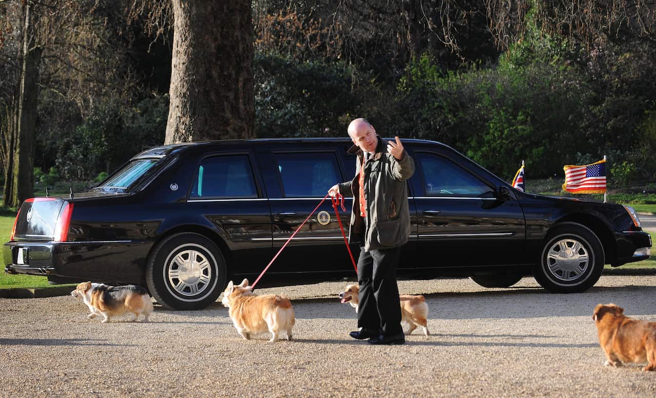 Corgis pass US President Barack Obama's car parked on the grounds of Buckingham Palace (Getty)