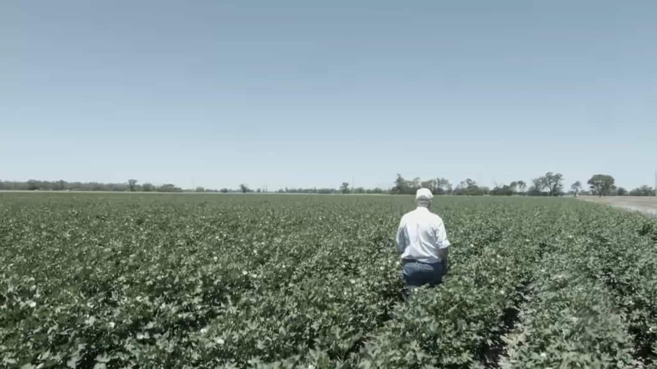 An Australian farmer on hos cotton farm.