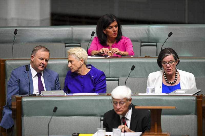 Labor's Anthony Albanese (left) speaks to cross bench MP Kerryn Phelps during debate.