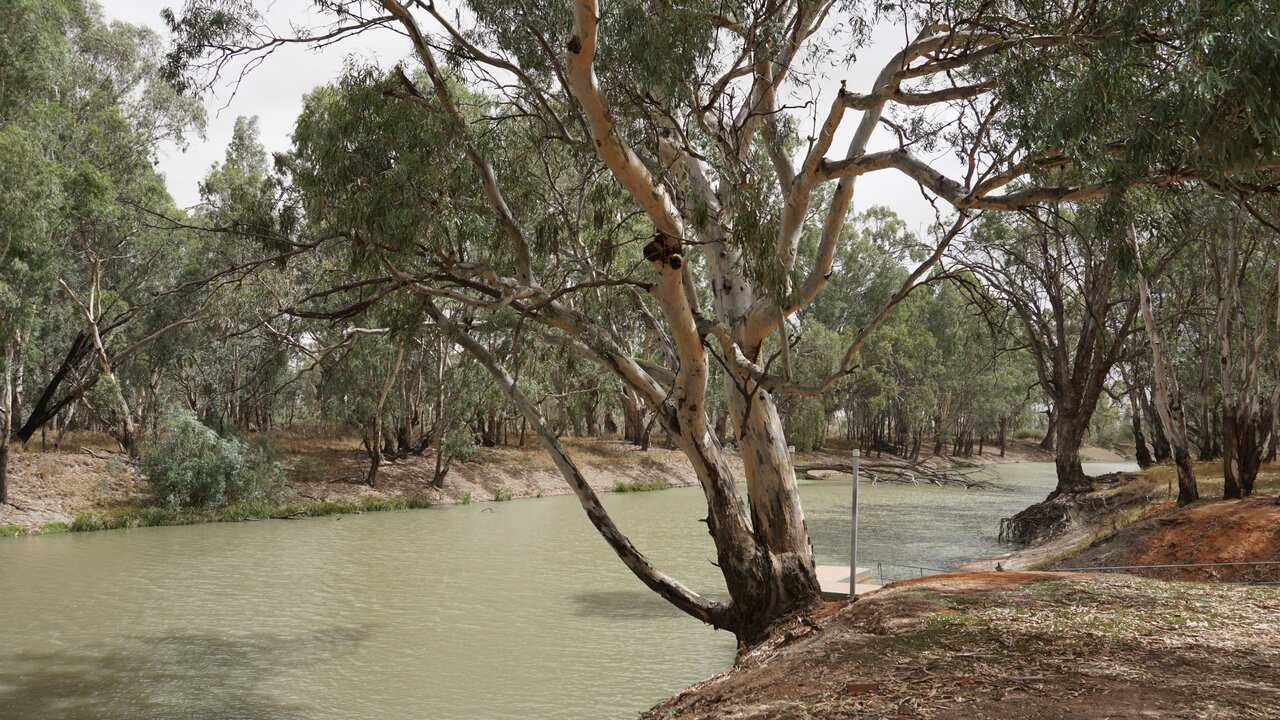 Water management to become election issue