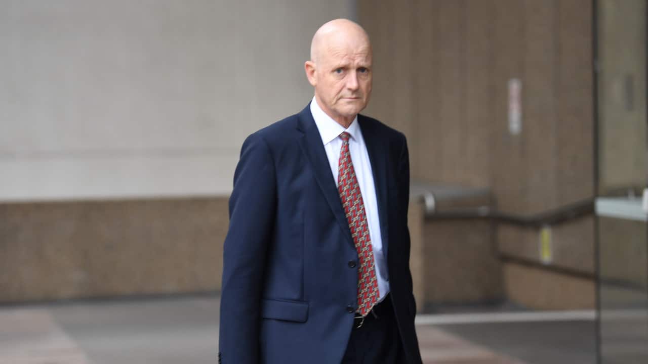 Former Liberal Democrat Senator David Leyonhjelm arrives at the Federal Court in Sydney.