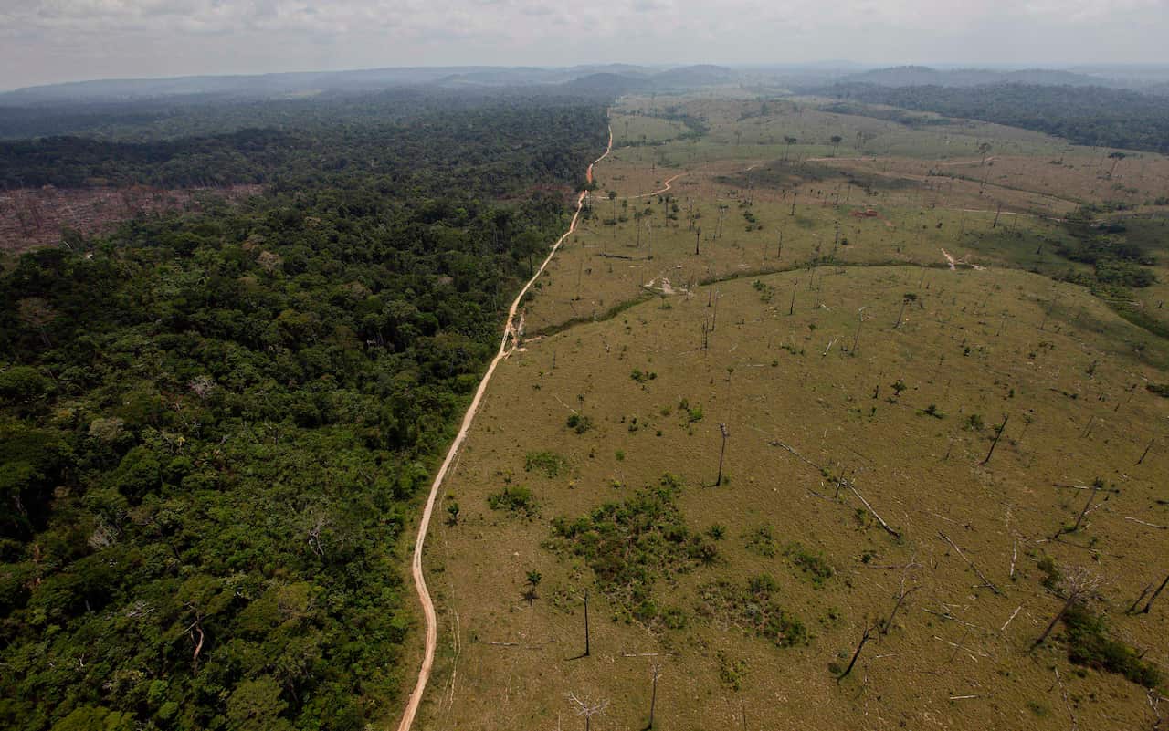 A file photo shows a deforested area (right) near Novo Progresso in Brazil's northern state of Para (AAP)