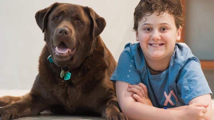 Dog and boy