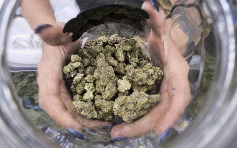 Support for loosening rules around recreational cannabis has grown in New Zealand.