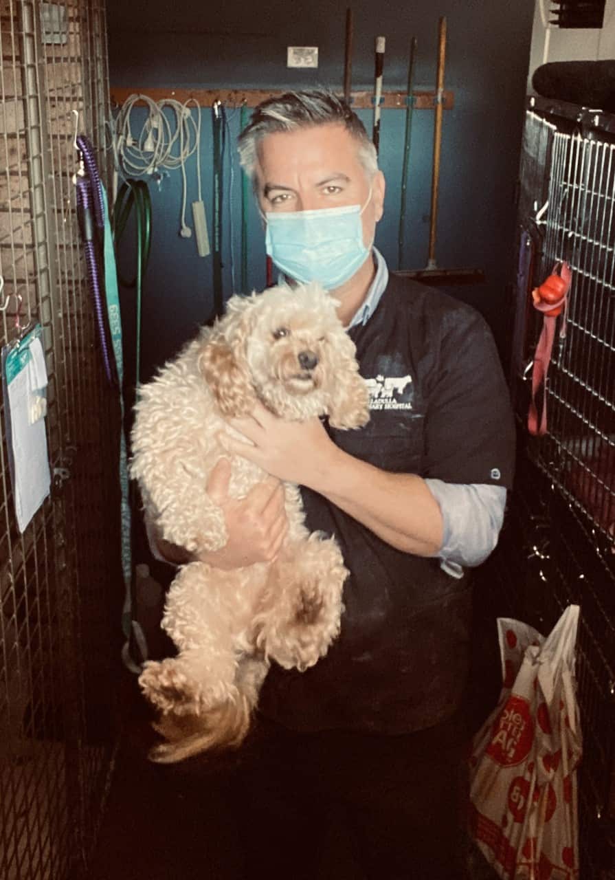Vets