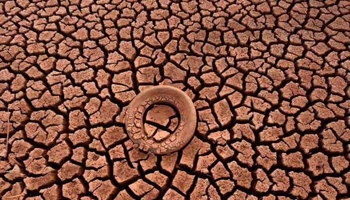 drought_aap.jpg