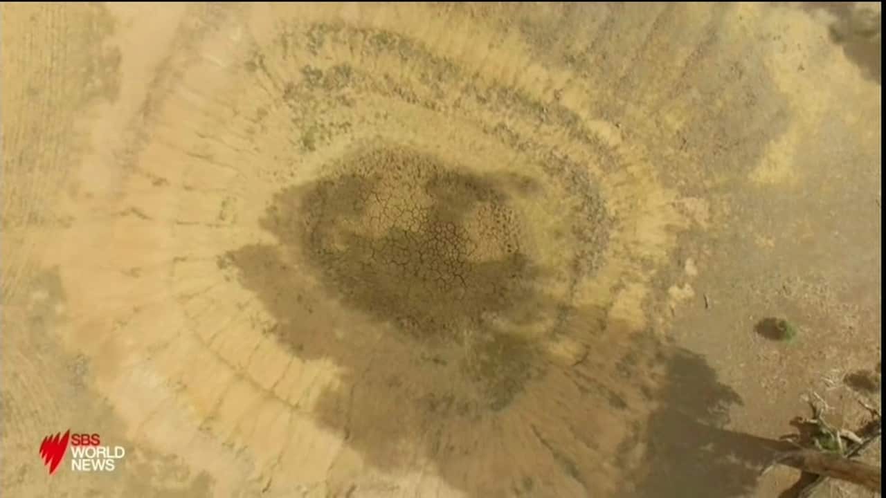 New South Wales is officially in drought.