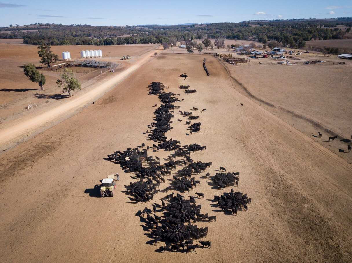 An aerial view of the cattle feeding operation on the property 'Toorawandi' owned by Coonabrabran farmer Ambrose Doolan and his wife Lisa.