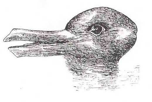 Duck or rabbit?