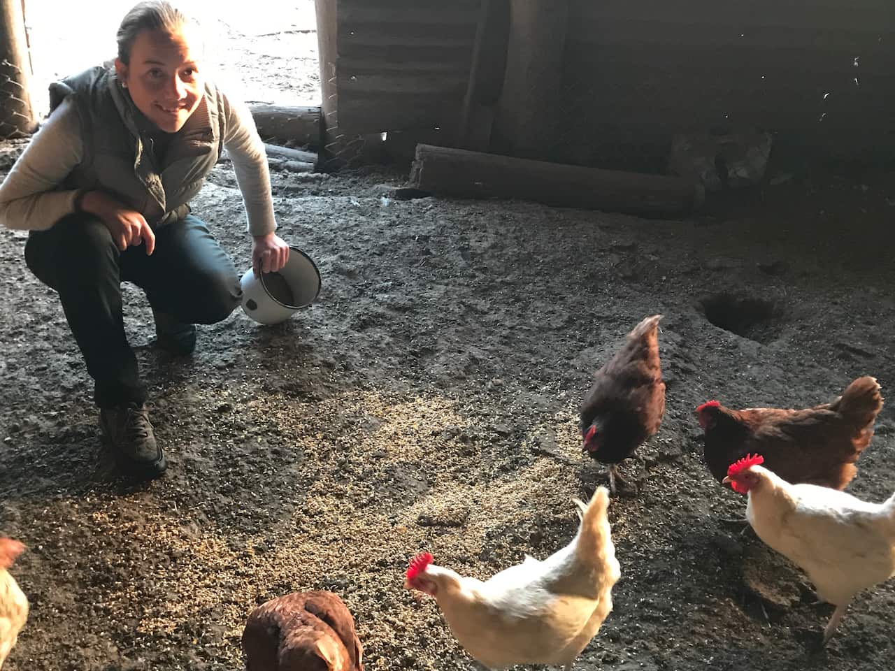 Rachel Nicholl on her family free range egg farm in Hampton, NSW.