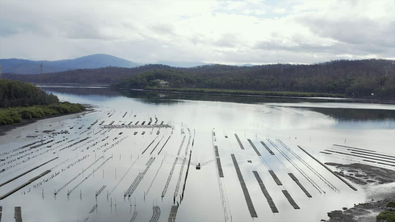 Shoalhaven NSW.