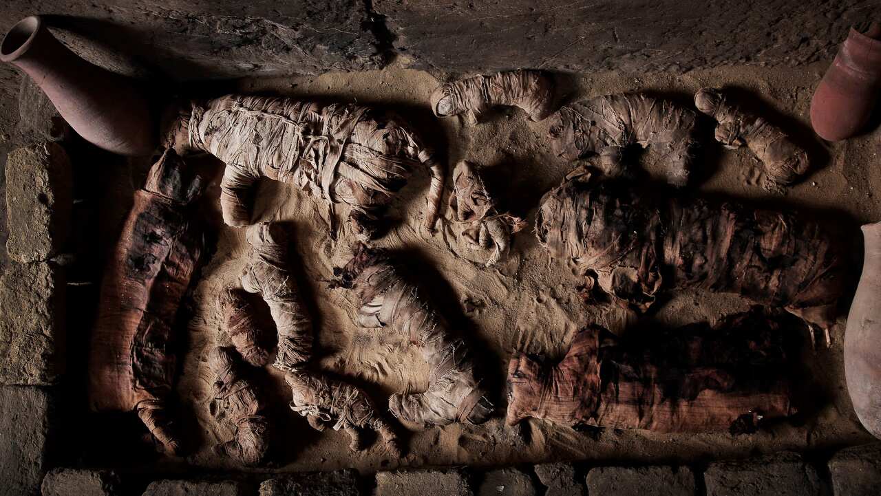 Mummified cats inside a tomb, at an ancient necropolis near Egypt's famed pyramids in Saqqara, Giza, Egypt.