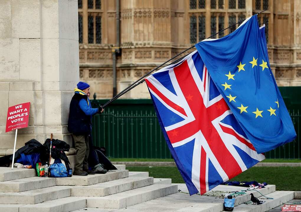 A 'Remain' supporter demonstrates across from the Palace of Westminster in London.