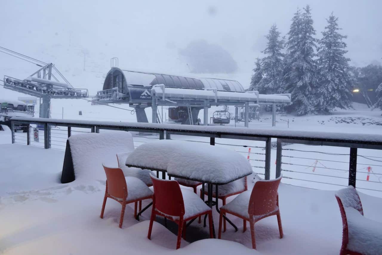 The cold snap has brought one of the best starts to the ski season in years.