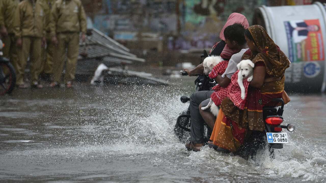 A couple carries their pets after the onset of Cyclone Fani on May 3, 2019 in Puri, India.