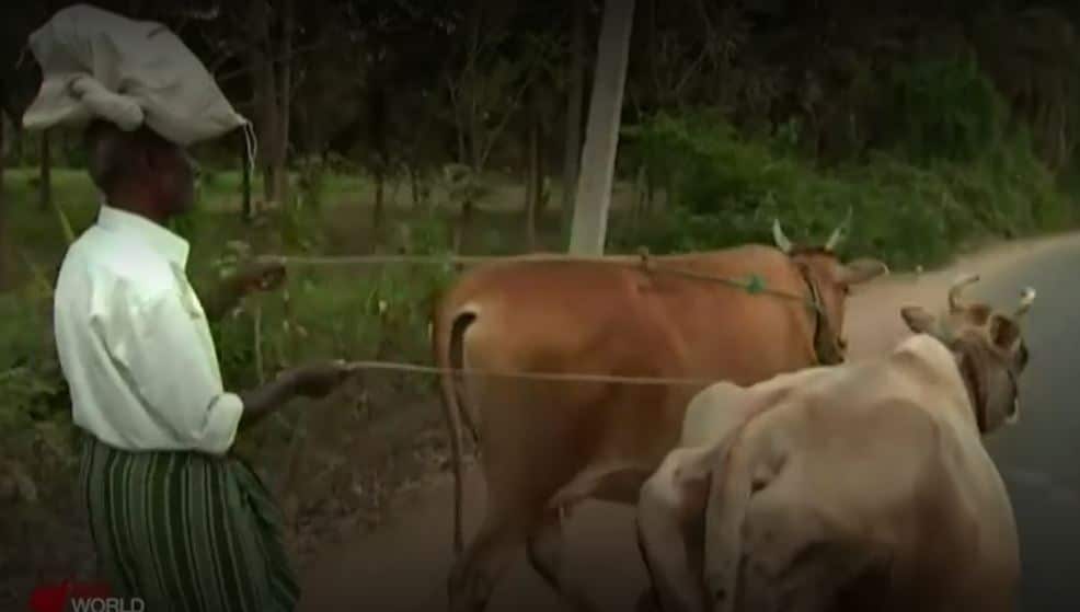 Farmers will form a major voting base in India's election