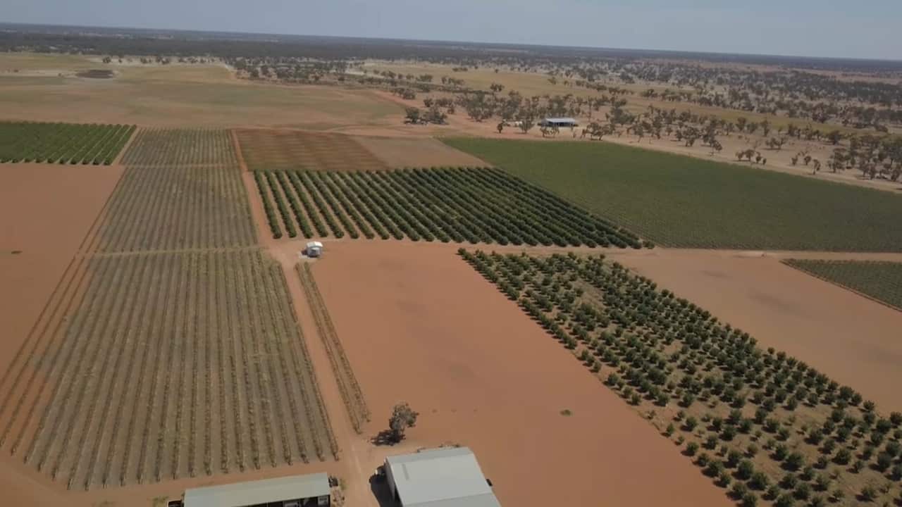 10 families run the six farms along the lower Darling and hope they'll be compensated for leaving the industry.