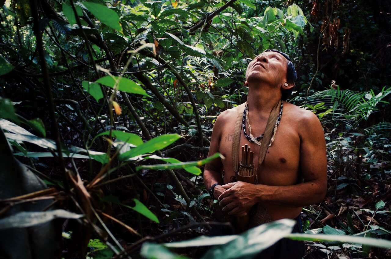 Amazon fires: Indigenous people show fire can be used sustainably