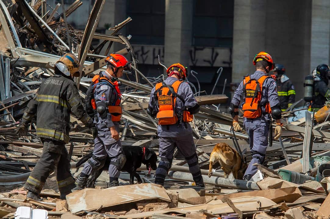 Sniffer dogs are used to help find victims of the fire.