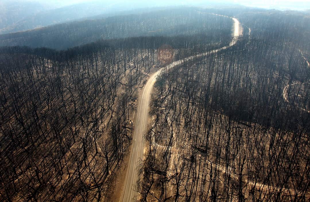 Death Toll Nears 200 As Bushfires Continue To Blaze Through Victoria