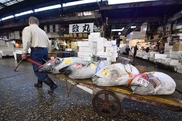 A porter transporting auctioned tuna at Tsukiji fish market in Tokyo.